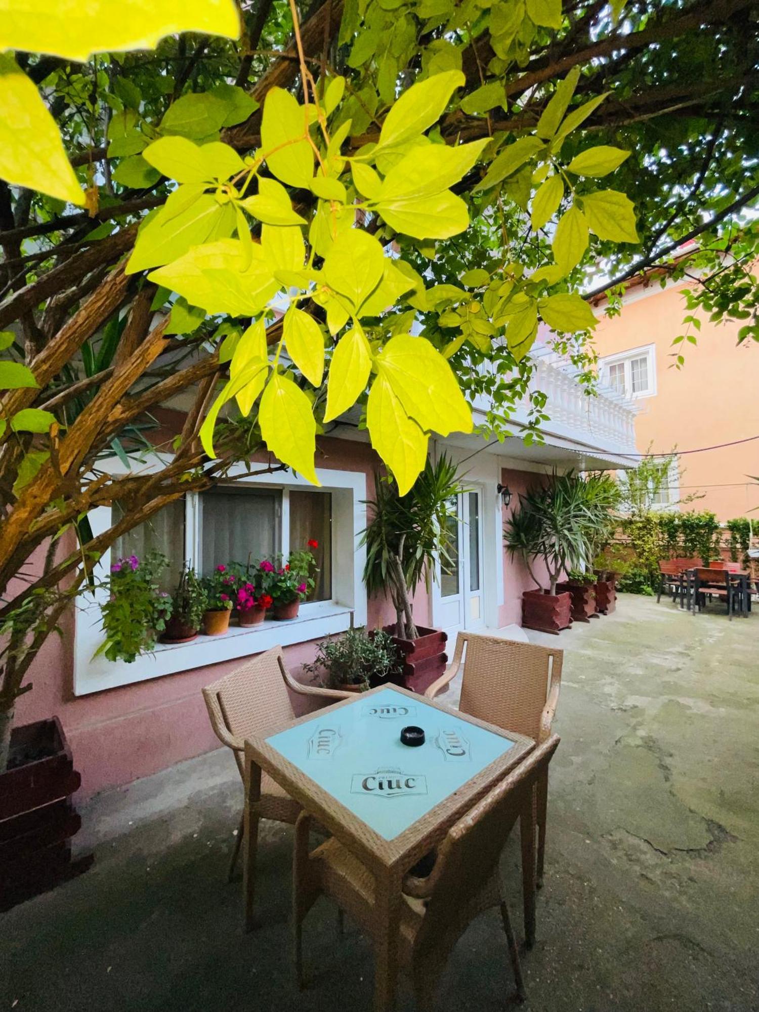 Pensiune Perla Dunarii Giurgiu Exteriér fotografie